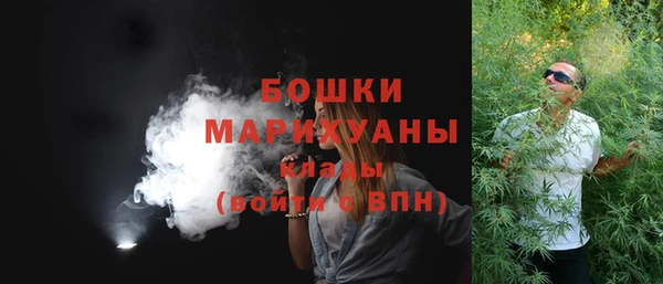 шишки Краснотурьинск